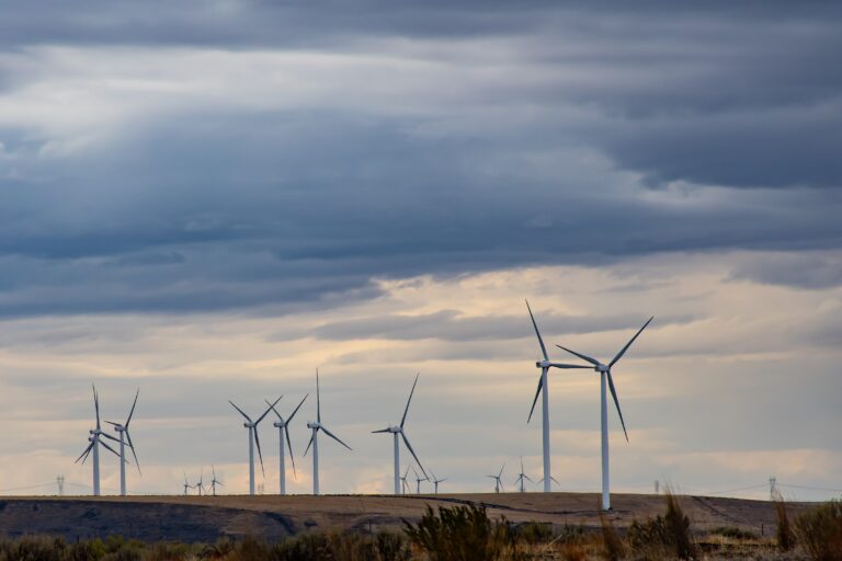 Wind Energy Economics 101: Understanding the Costs