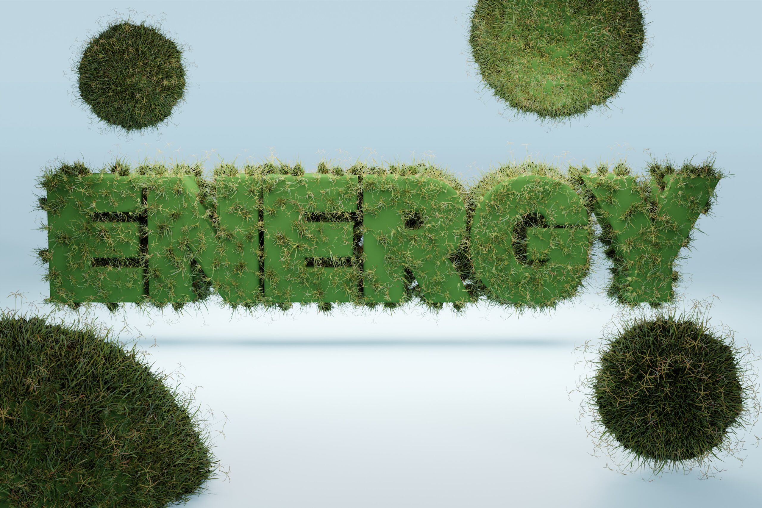 What is Bioenergy and How Does It Work? | The Renewable Rundown