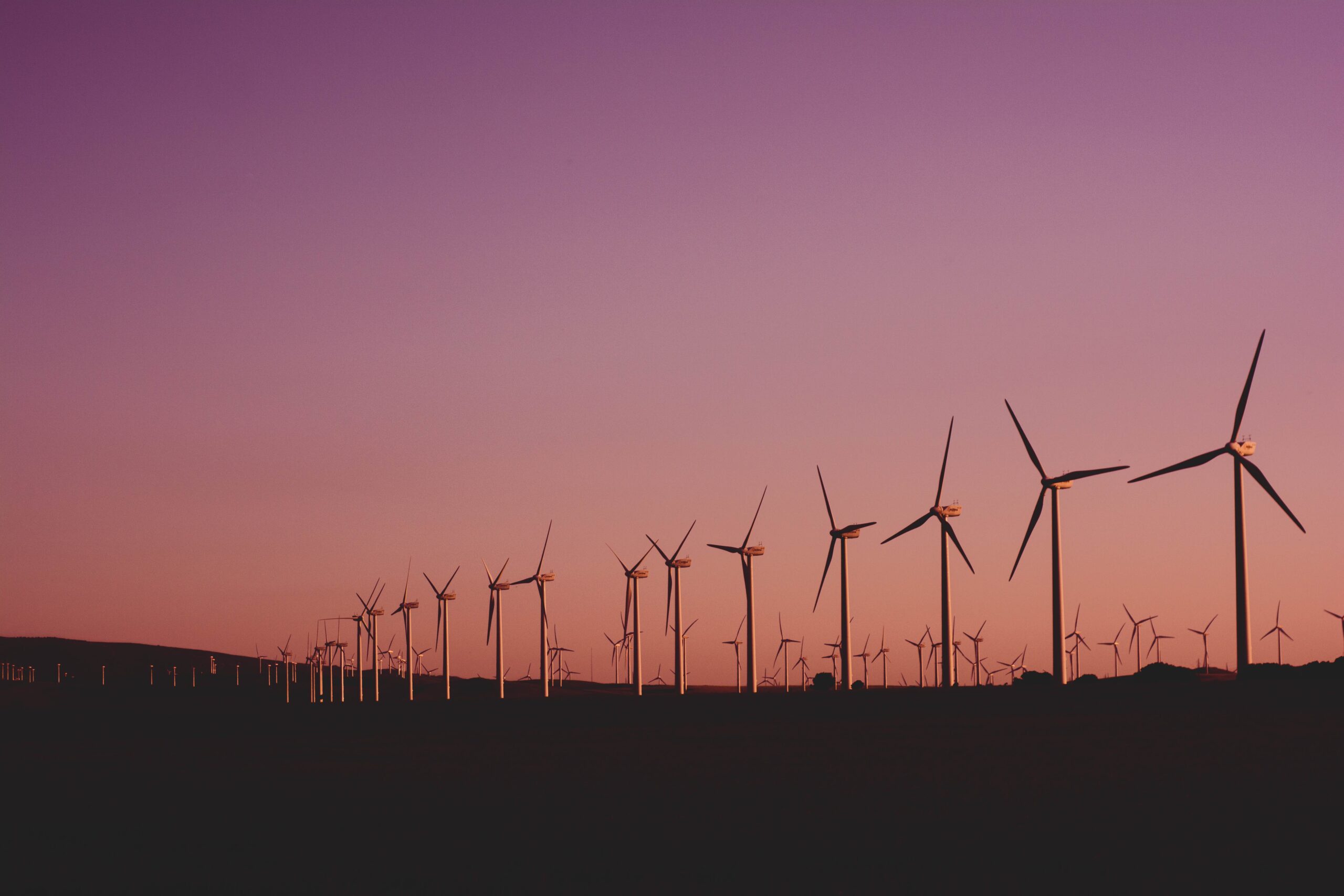 wind turbines on sunset