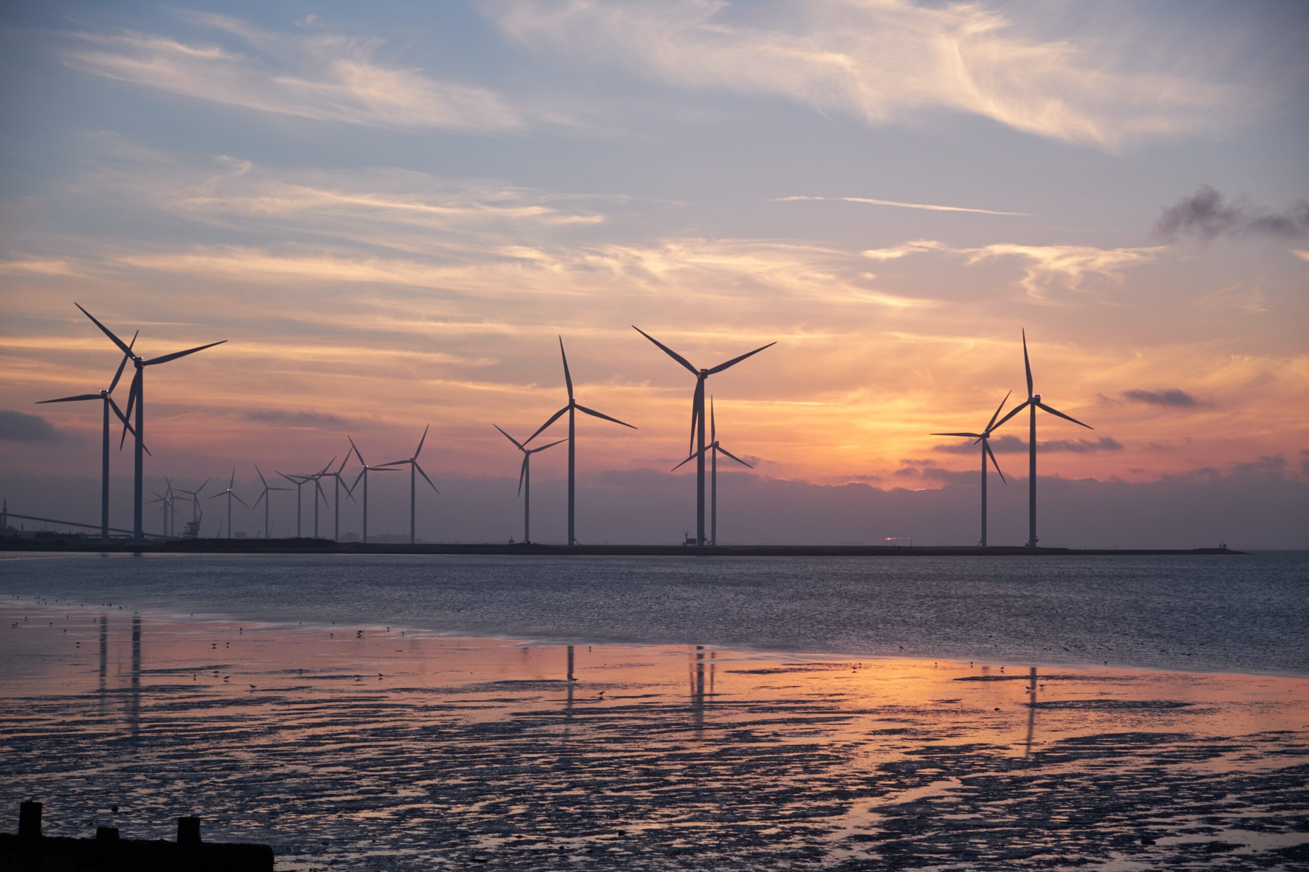 Wind energy turbines in a field