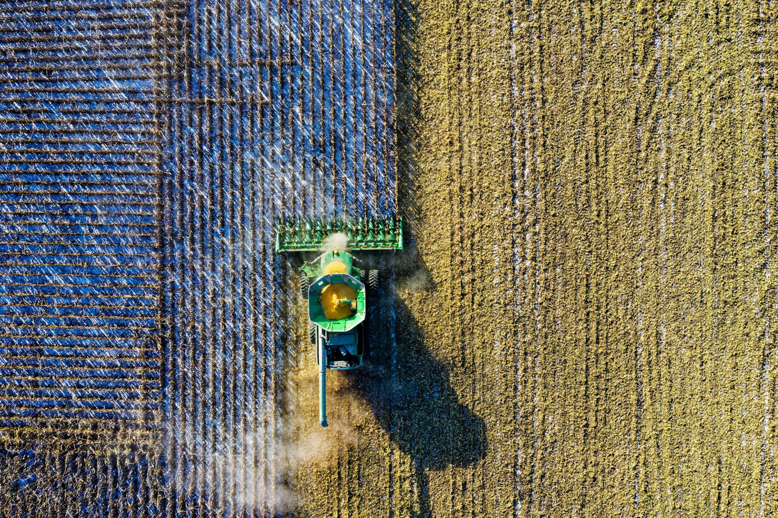 Agricultural cultivation with milling tractor