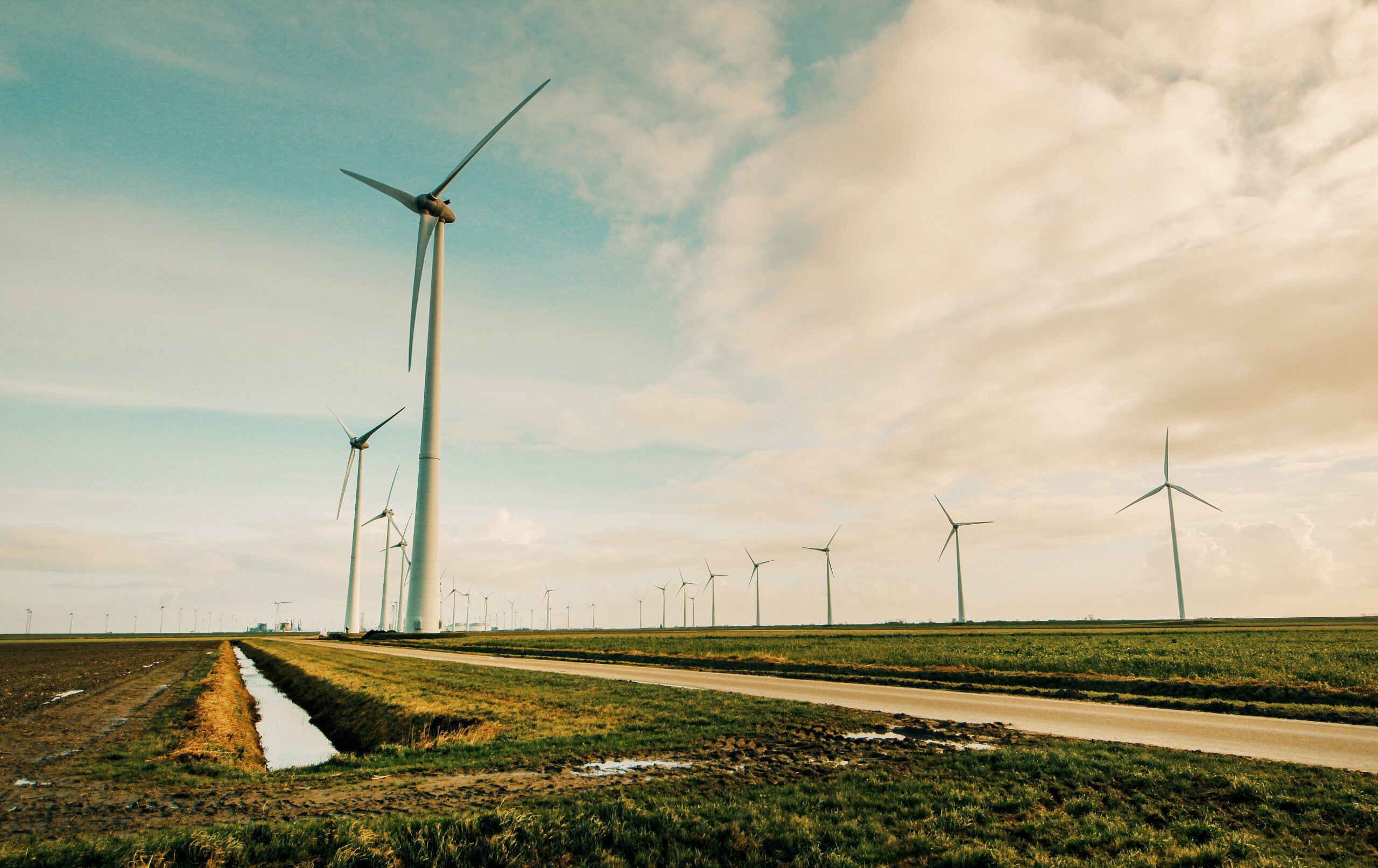 wind turbines near the road