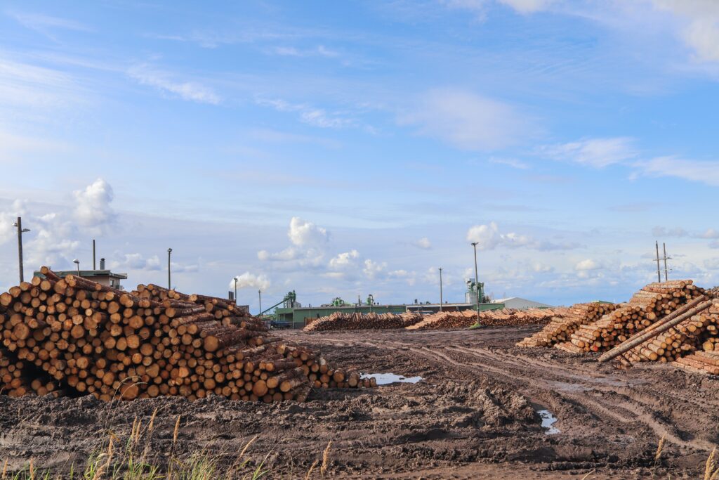 wood factory, pile of wood